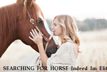 SEARCHING FOR HORSE Indeed Im Elite aka Troubadour,  Near Crestline/ Lake Gregory/ Lake Arrowhead , CA, 92325